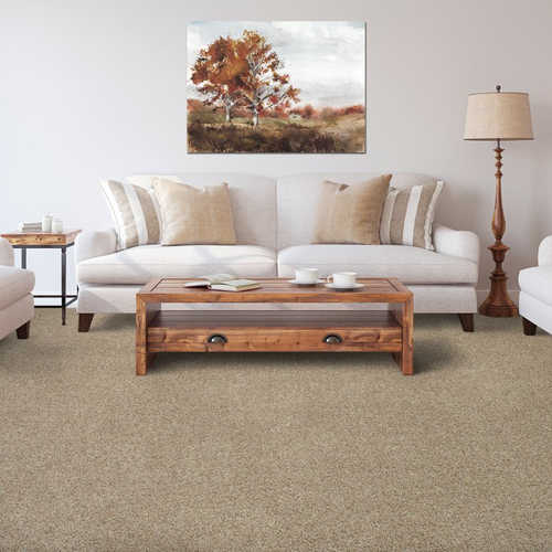 Living room with comfy carpet - MB Sp830-03